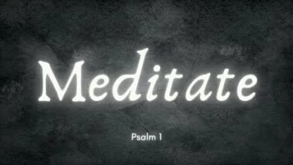 Meditate